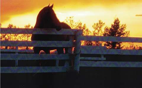 Morningview Vet Clinic